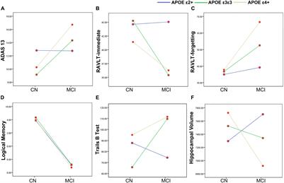 The Specific Impact of Apolipoprotein E Epsilon 2 on Cognition and Brain Function in Cognitively Normal Elders and Mild Cognitive Impairment Patients